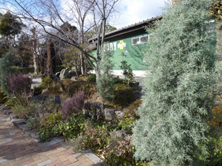 ta05.jpg