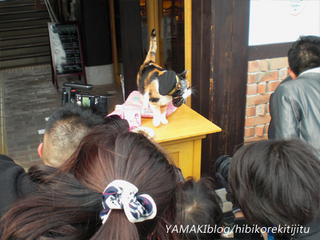 tama05.jpg