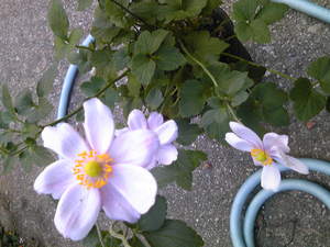 121024_094557.jpg
