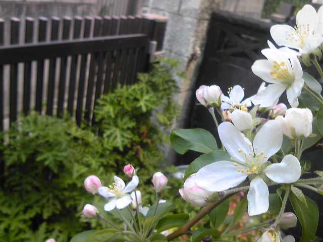 130411_1135561.jpg